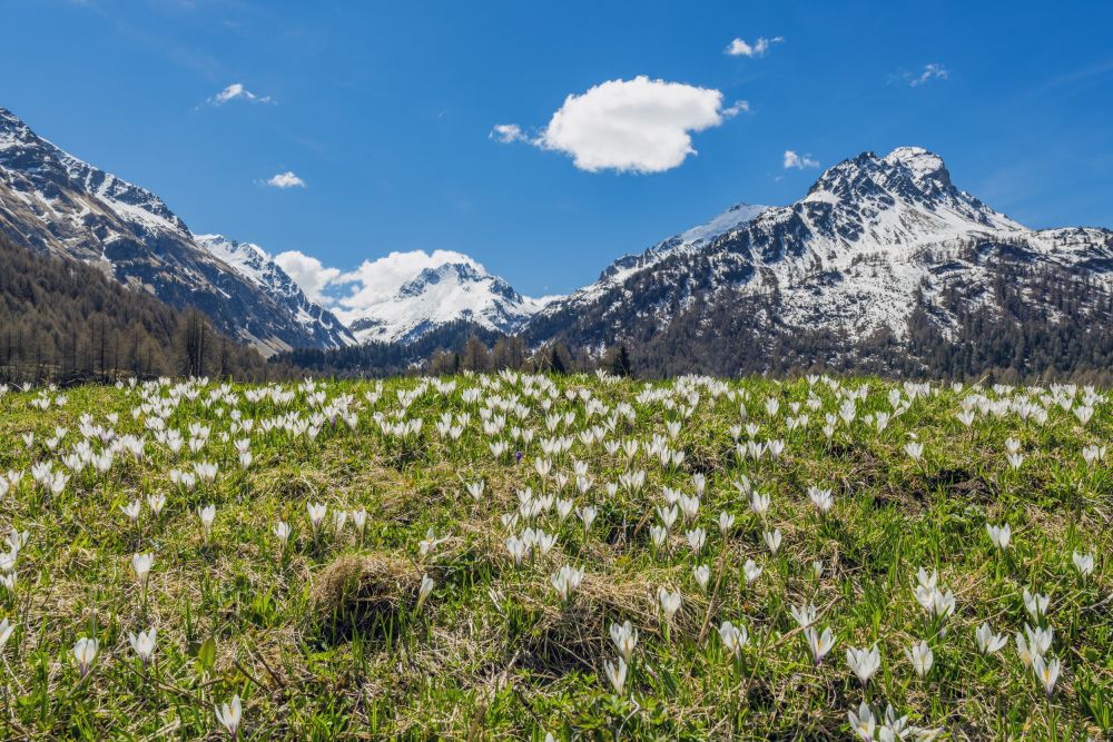 Val Bregaglia