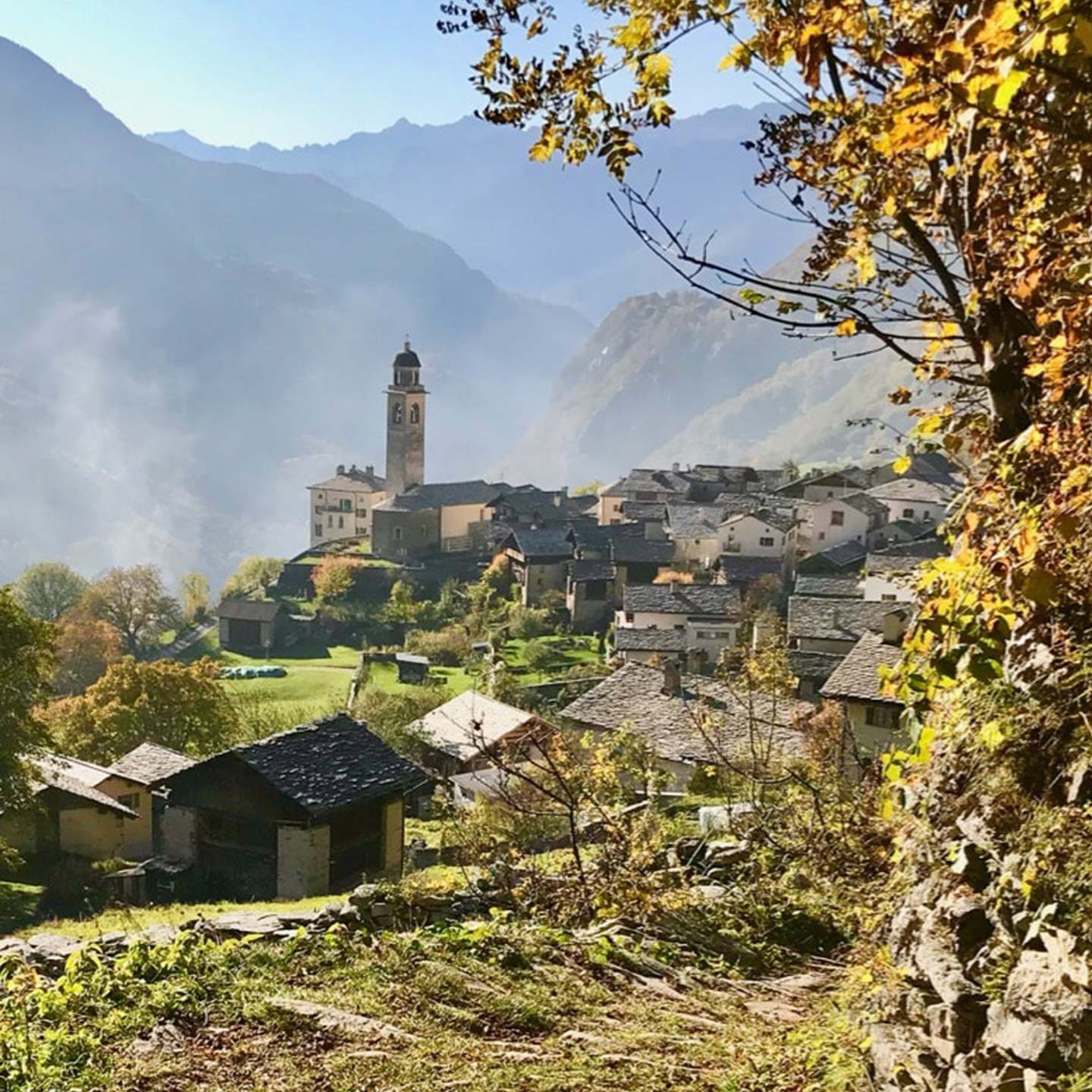 Le perle della bregaglia (1440 x 1440 )