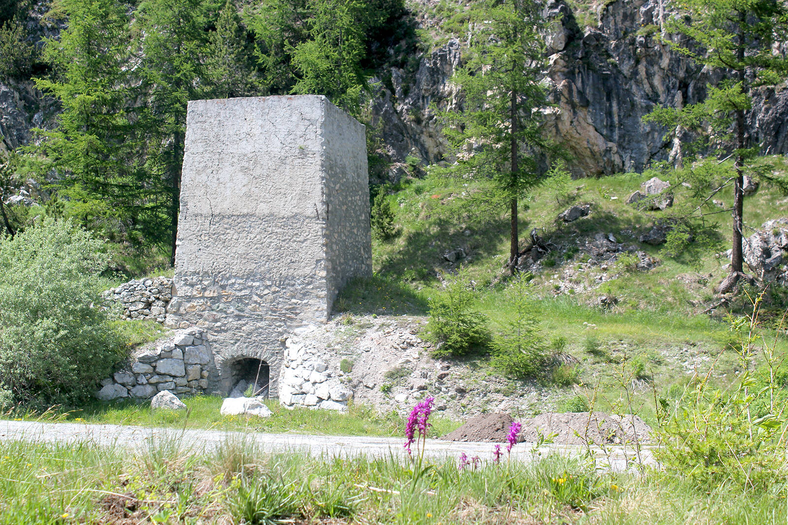 Foto fornace Plaun da Lej