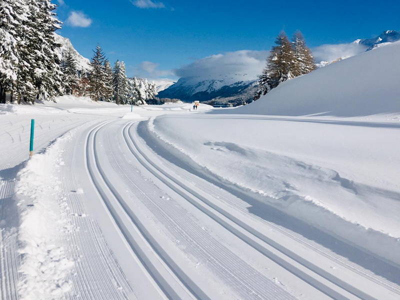 Bewegung im Winter