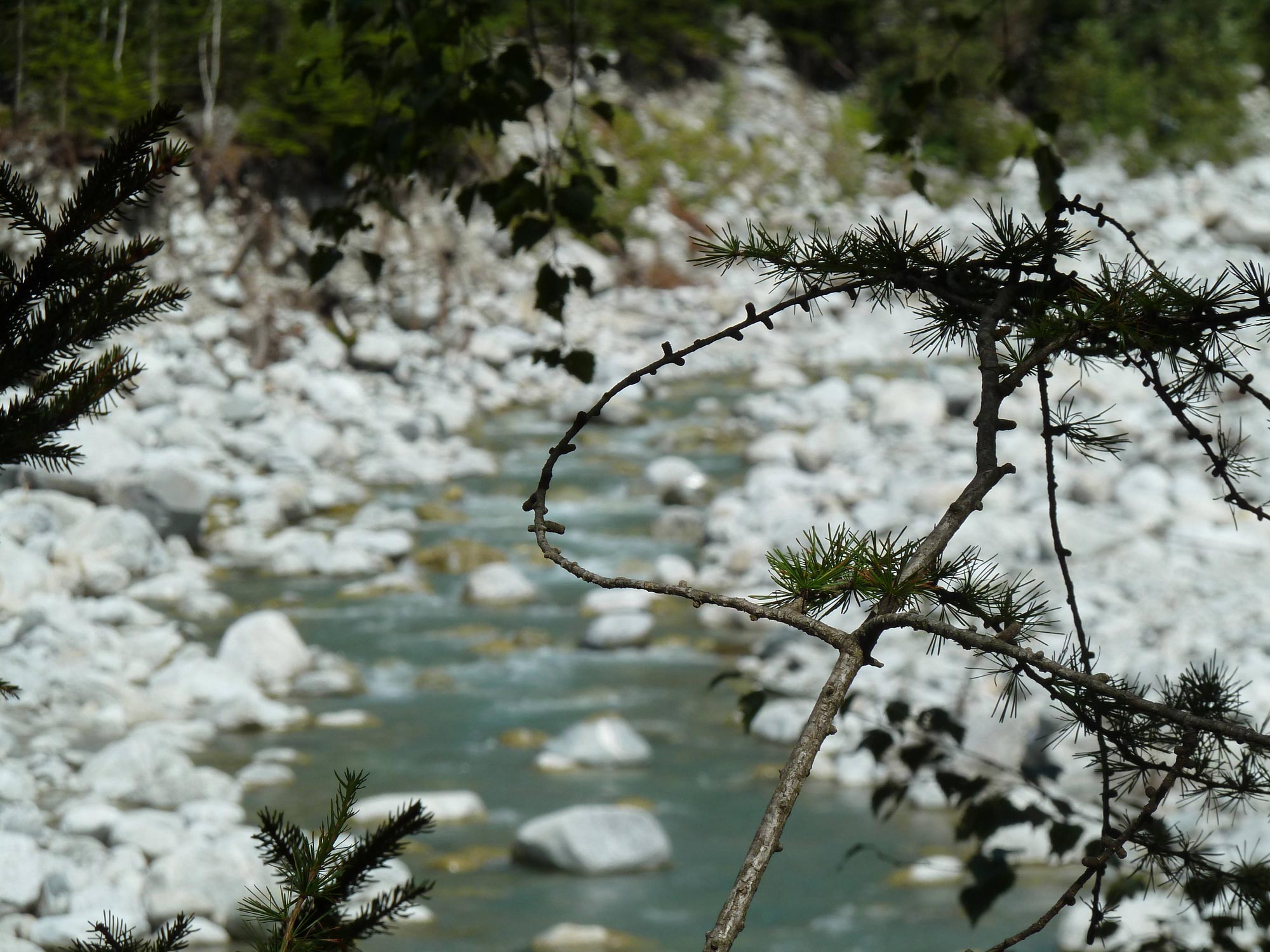 Sulla via dell'acqua