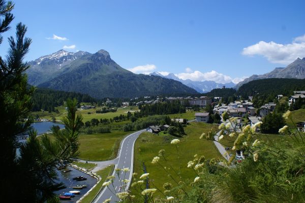 Maloja