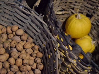 Alimentazione