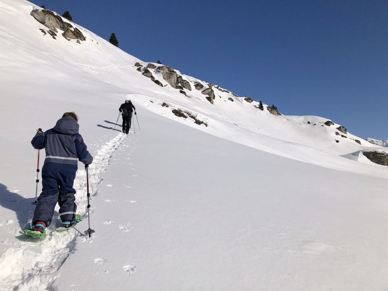 Snowshoeing trails
